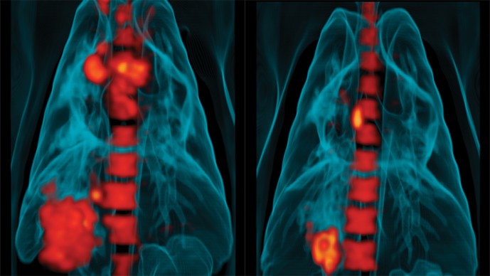 GCGH Retrospectives - Douglas Young