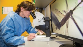 /sites/default/files/styles/listing_image/public/GCGH%20Retrospectives%20-%20Adrian%20Hill?itok=__vPttod