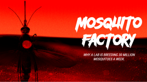 /sites/default/files/styles/listing_image/public/Gates%20Notes%20-%20Mosquito%20Factory?itok=bxp7_YvN