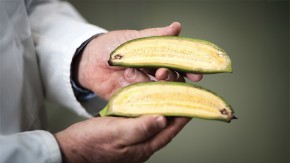 /sites/default/files/styles/listing_image/public/GCGH%20Retrospectives%20-%20James%20Dale%20and%20Wilberforce%20Tushemereirwe?itok=h0KuCXOx