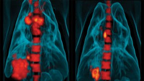 /sites/default/files/styles/listing_image/public/GCGH%20Retrospectives%20-%20Douglas%20Young?itok=iXT7iLUt