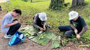 /sites/default/files/styles/listing_image/public/Genome%20Structure-Based%20Banana%20Breeding%20in%20Southeast%20Asia%20Blog?itok=1OIxEF_o