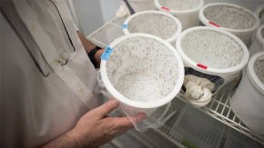 /sites/default/files/styles/listing_image/public/GCGH%20Retrospective%20-%20Laurence%20Zwiebel?itok=b0P6C-Rk