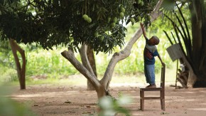 /sites/default/files/styles/listing_image/public/GCGH%20Retrospectives%20Cover?itok=BZxU4SYm