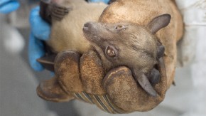 /sites/default/files/styles/listing_image/public/Round%2022%20-%20Brook?itok=S9IVP_QF