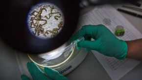 /sites/default/files/styles/listing_image/public/The%20next%20epidemic%20is%20coming.?itok=CA1Ucos9